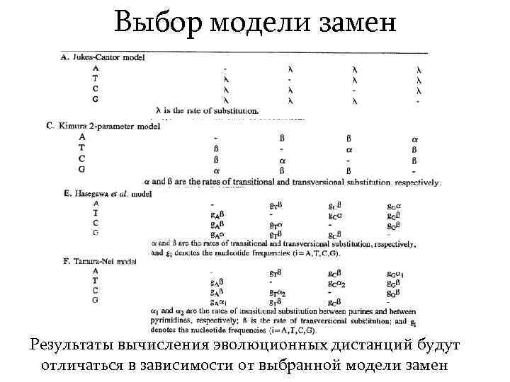 Выбор модели замен Результаты вычисления эволюционных дистанций будут отличаться в зависимости от выбранной модели
