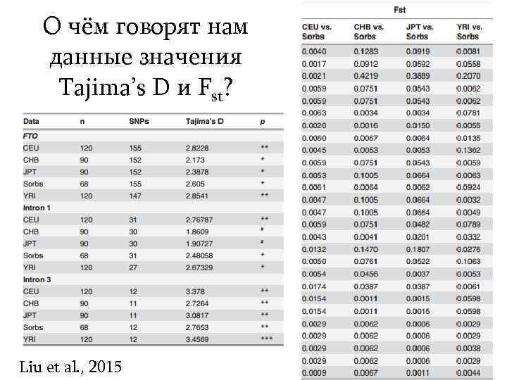 О чём говорят нам данные значения Tajima’s D и Fst? Liu et al. ,