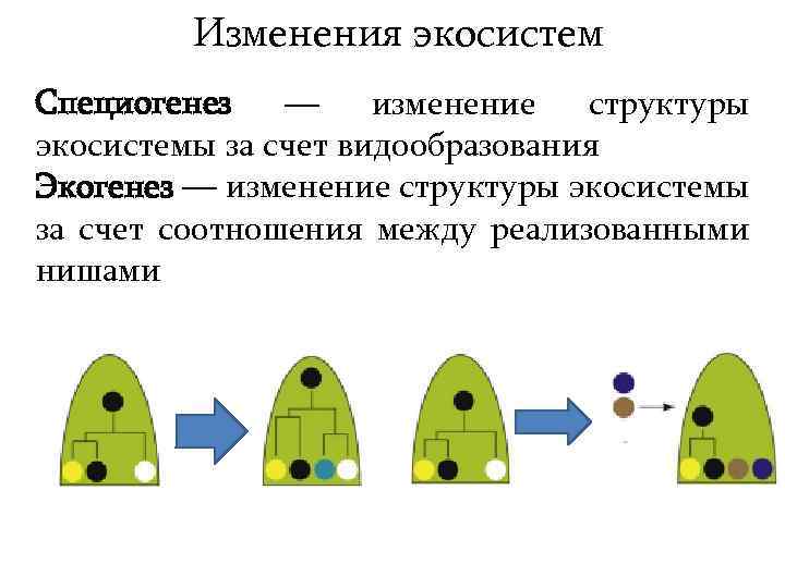 Изменение экосистемы