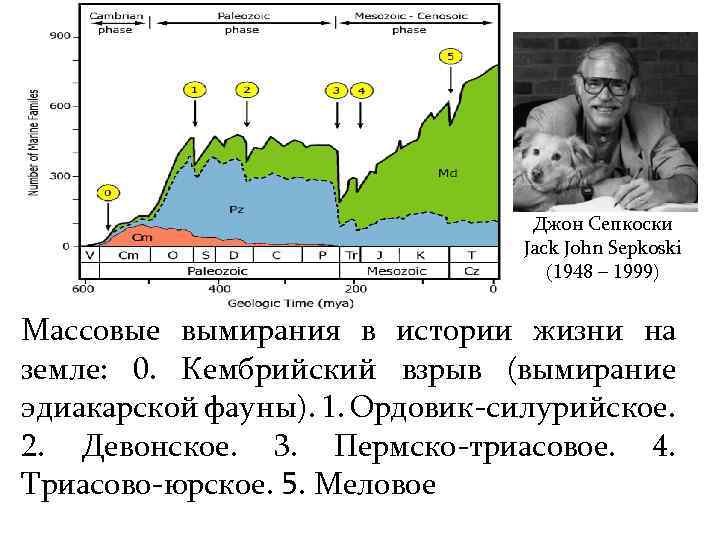 История вымираний. Массовые вымирания в истории земли. Глобальные вымирания в истории земли. Причины массовых вымираний в истории земли. 5 Массовых вымираний в истории земли.