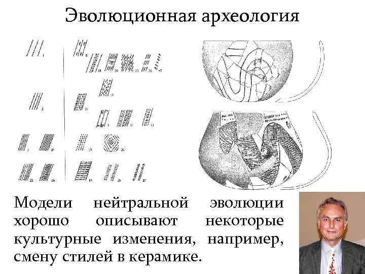 Эволюционная археология Модели нейтральной эволюции хорошо описывают некоторые культурные изменения, например, смену стилей в