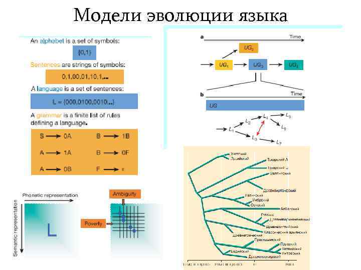 Модели эволюции языка 