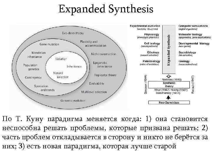 Expanded Synthesis По Т. Куну парадигма меняется когда: 1) она становится неспособна решать проблемы,