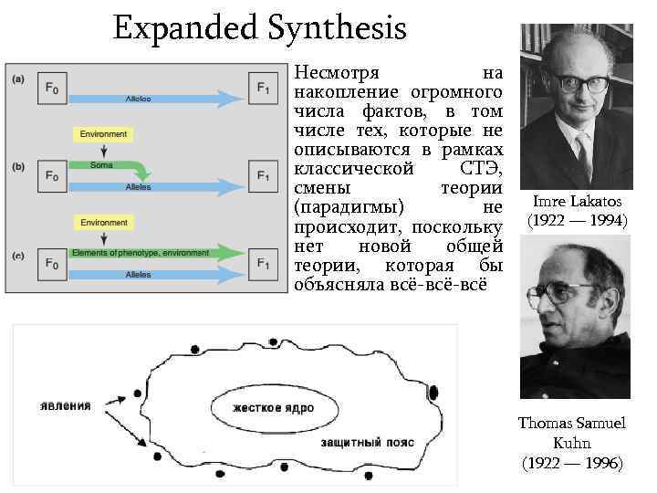 Expanded Synthesis Несмотря на накопление огромного числа фактов, в том числе тех, которые не