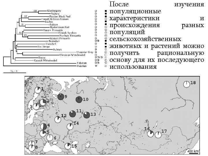 После изучения популяционные характеристики и происхождения разных популяций сельскохозяйственных животных и растений можно получить