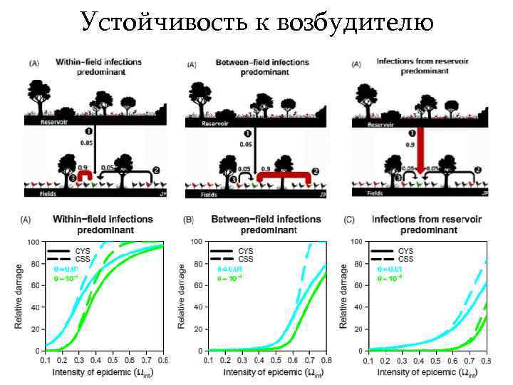 Устойчивость к возбудителю 