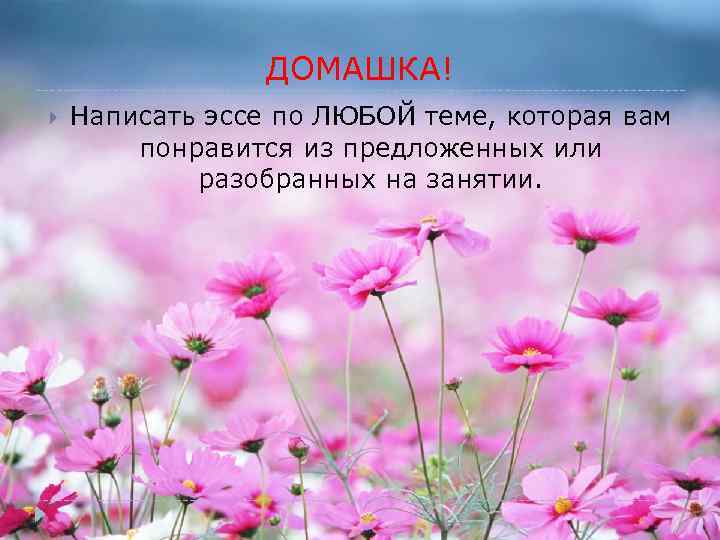 ДОМАШКА! Написать эссе по ЛЮБОЙ теме, которая вам понравится из предложенных или разобранных на