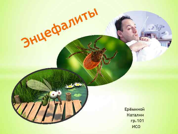 а еф ц Эн ты ли Ерёминой Наталии гр. 101 ИСО 