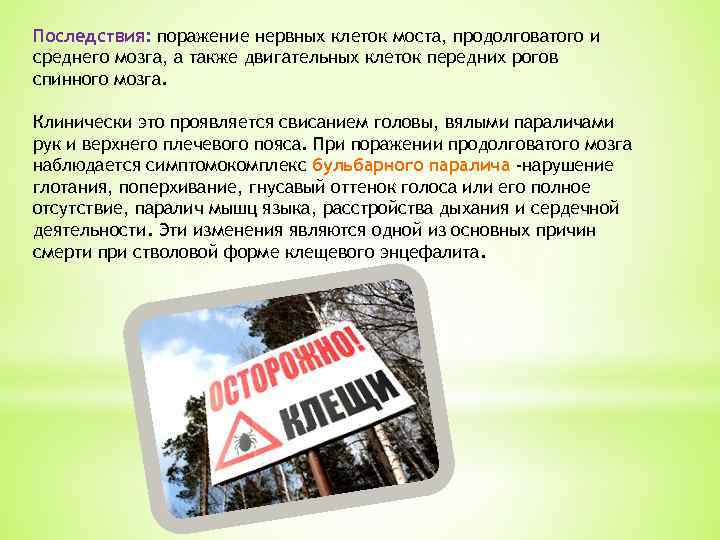 Последствия: поражение нервных клеток моста, продолговатого и среднего мозга, а также двигательных клеток передних