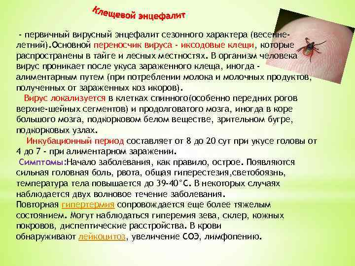  - первичный вирусный энцефалит сезонного характера (весеннелетний). Основной переносчик вируса - иксодовые клещи,