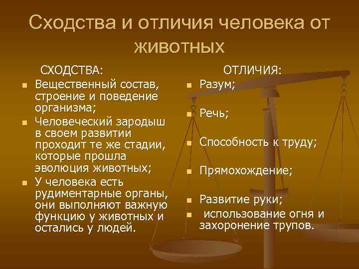 Сходства и отличия человека от животных n n n СХОДСТВА: Вещественный состав, строение и