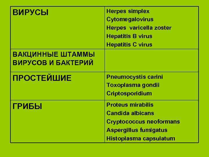 ВИРУСЫ Herpes simplex Cytomegalovirus Herpes varicella zoster Hepatitis B virus Hepatitis С virus ВАКЦИННЫЕ