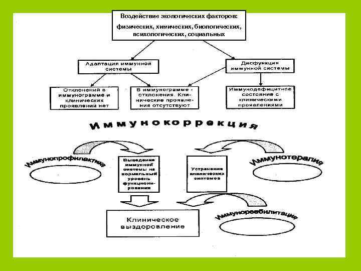 Воздействие экологических факторов: физических, химических, биологических, психологических, социальных 