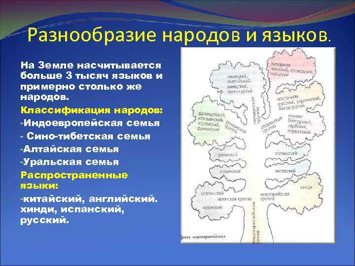 Разнообразие народов и языков. На Земле насчитывается больше 3 тысяч языков и примерно столько