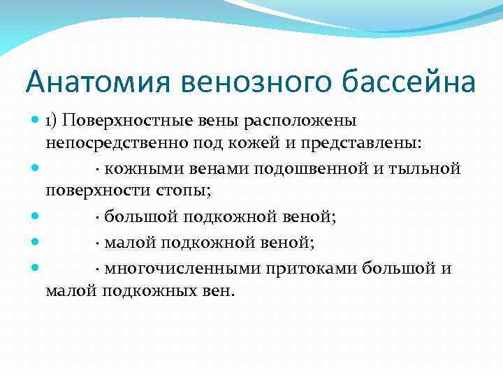 Анатомия венозного бассейна 1) Поверхностные вены расположены непосредственно под кожей и представлены: · кожными