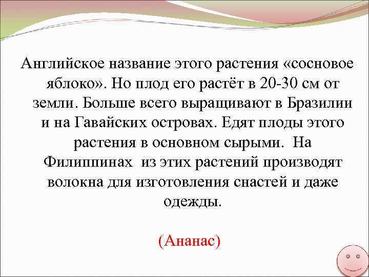 Английское название этого растения «сосновое яблоко» . Но плод его растёт в 20 -30