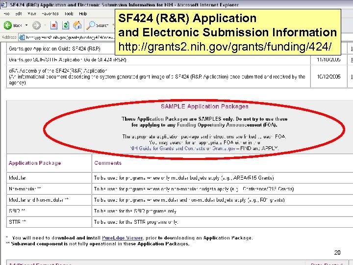 SF 424 (R&R) Application and Electronic Submission Information http: //grants 2. nih. gov/grants/funding/424/ 20