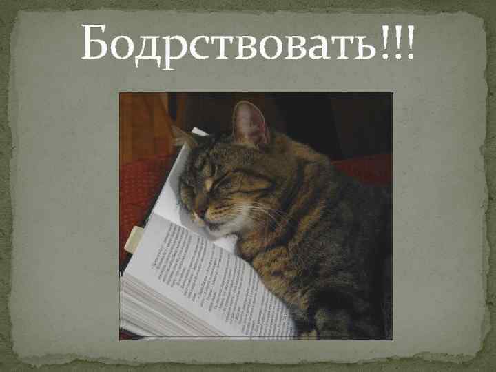 Бодрствовать!!! 