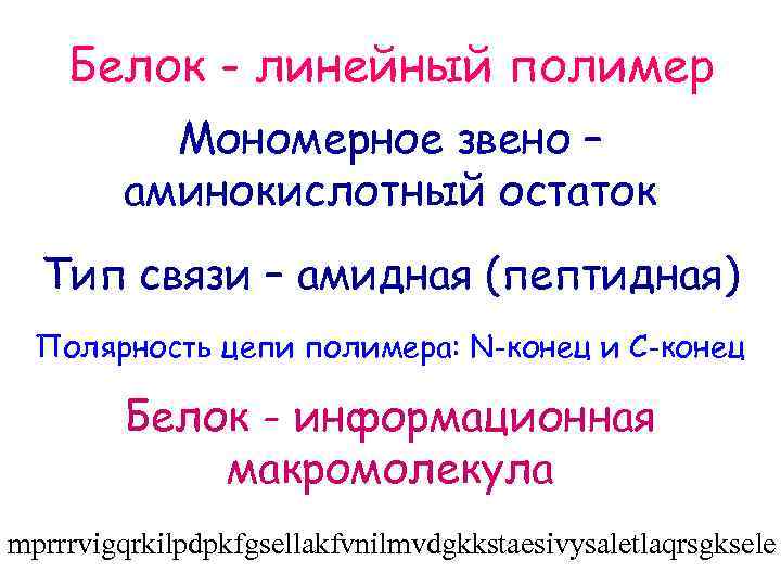 Белок - линейный полимер Мономерное звено – аминокислотный остаток Тип связи – амидная (пептидная)