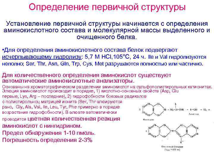 Определяет первичную структуру