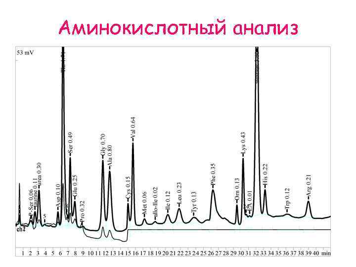 Аминокислотный анализ 
