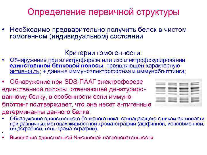 Методы определения белков. Определение первичной структуры белков. Методы определения первичной структуры белка. Определение первичной структуры белка. Методы установления первичной структуры белков.