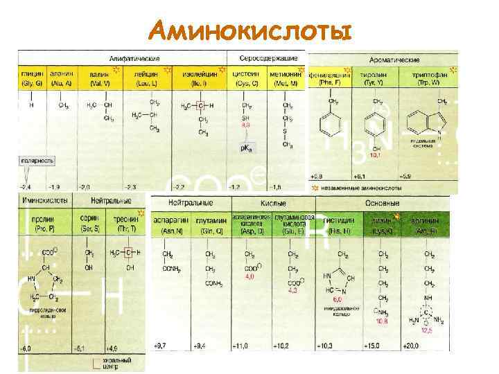 Аминокислоты 