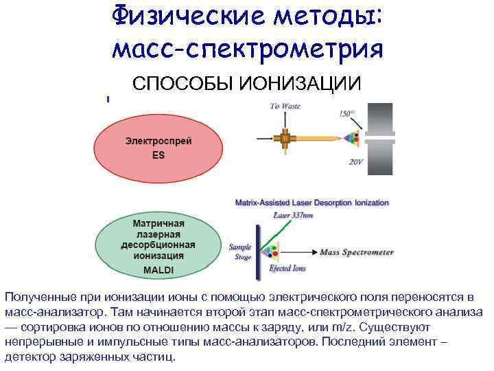 Принцип массе. Электронный удар в масс-спектрометрии. Детектирование ионов в масс-спектрометрии. Масс-спектрометрии с ионизацией электронным ударом. Методы ионизации в масс спектрометрии.