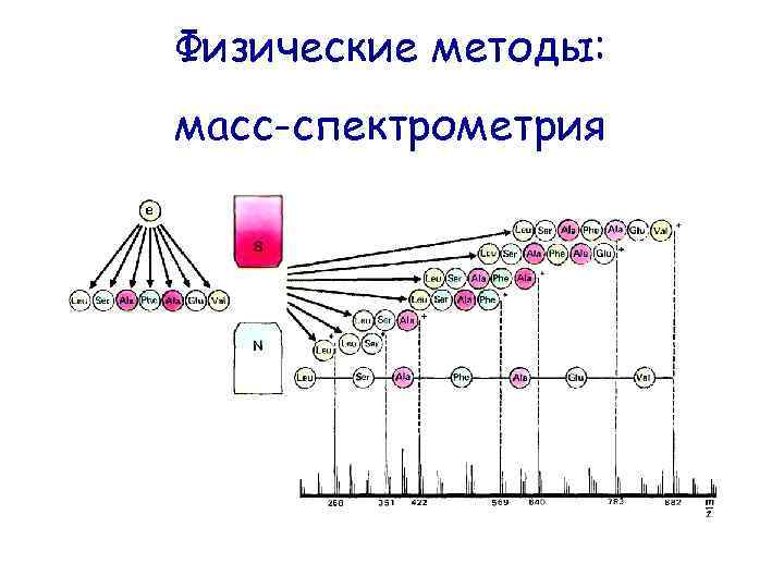 Физические методы: масс-спектрометрия 