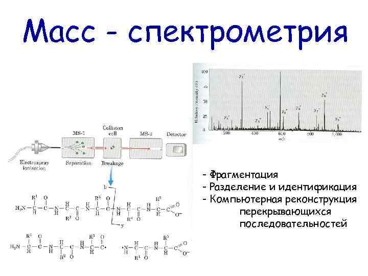 Схема фрагментации в масс спектрах