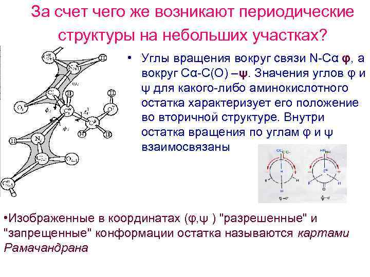 За счет чего же возникают периодические структуры на небольших участках? • Углы вращения вокруг