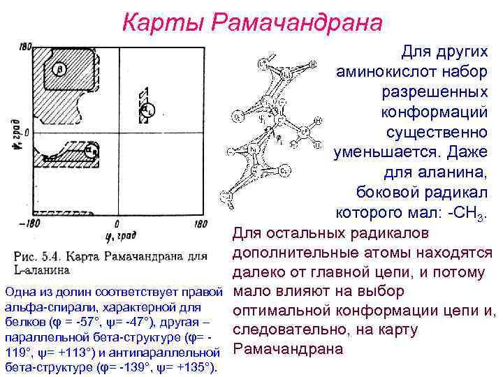 Карта рамачандрана для аминокислот