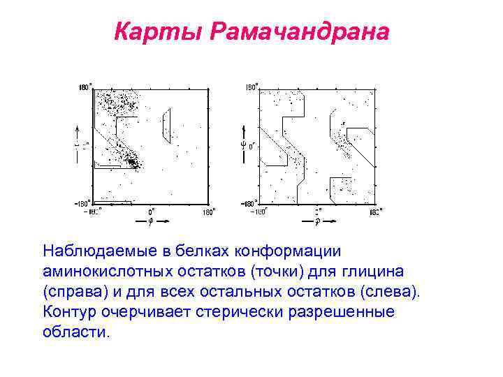 Карта рамачандрана для аминокислот