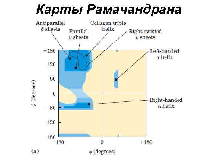 Карты Рамачандрана 