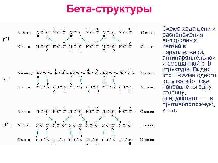 Видна структура