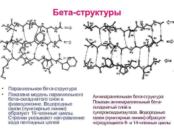 На рисунке показана структура