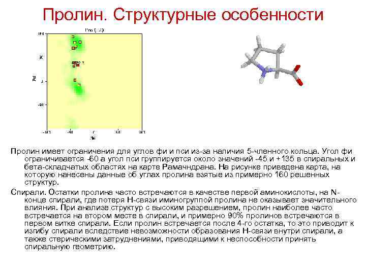 Пролин. Структурные особенности Пролин имеет ограничения для углов фи и пси из за наличия
