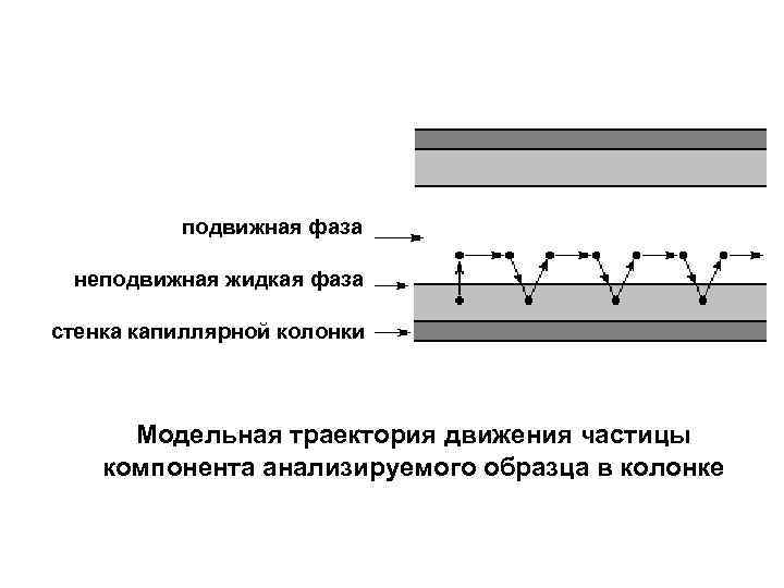 подвижная фаза неподвижная жидкая фаза стенка капиллярной колонки Модельная траектория движения частицы компонента анализируемого