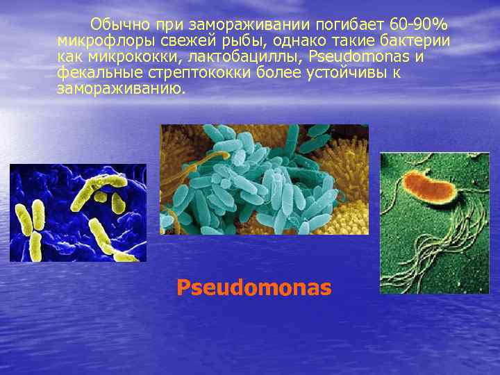 Микробиология рыбных продуктов презентация