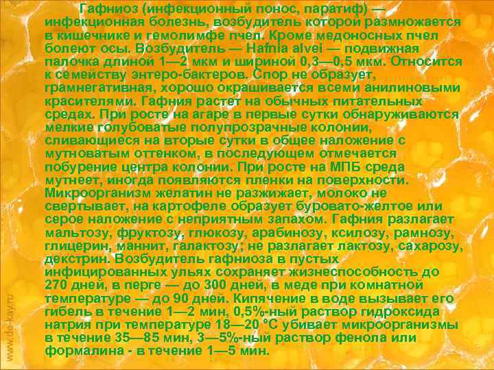 Гафниоз (инфекционный понос, паратиф) — инфекционная болезнь, возбудитель которой размножается в кишечнике и гемолимфе