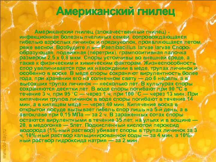 Американский гнилец (злокачественный гнилец) инфекционная болезнь пчелиных семей, сопровождающаяся гибелью взрослых личинок и предкуколок,