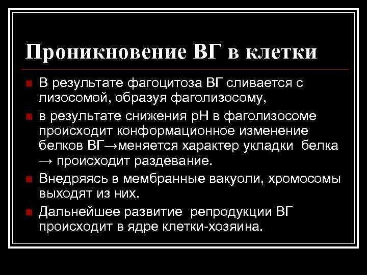 Проникновение ВГ в клетки n n В результате фагоцитоза ВГ сливается с лизосомой, образуя