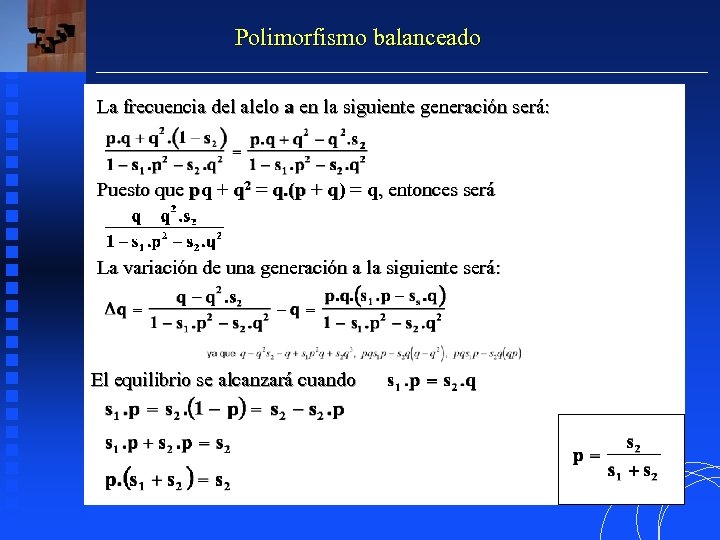 Polimorfismo balanceado La frecuencia del alelo a en la siguiente generación será: Puesto que