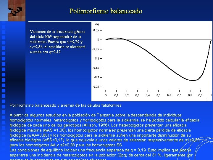 Polimorfismo balanceado Variación de la frecuencia génica del alelo Hb. S responsable de la