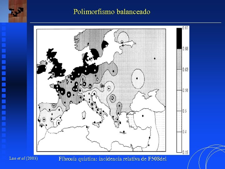 Polimorfismo balanceado Lao et al (2003) Fibrosis quística: incidencia relativa de F 508 del