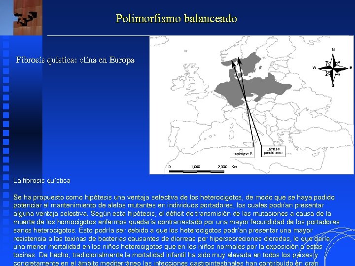 Polimorfismo balanceado Fibrosis quística: clina en Europa La fibrosis quística Se ha propuesto como