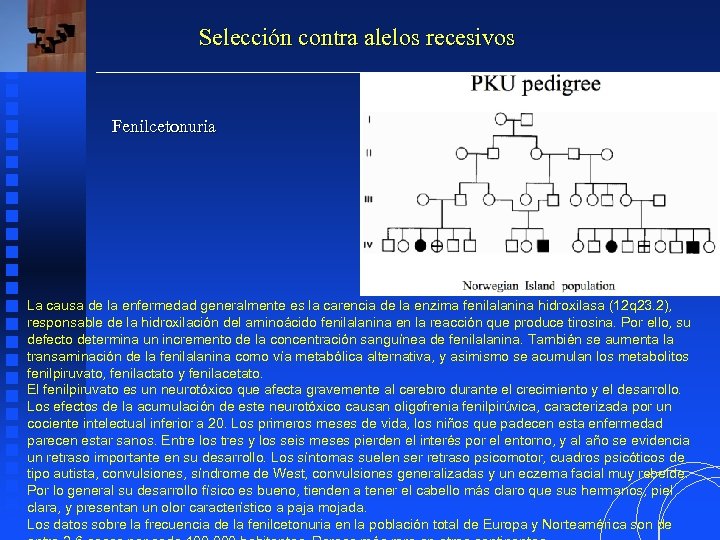 Selección contra alelos recesivos Fenilcetonuria La causa de la enfermedad generalmente es la carencia