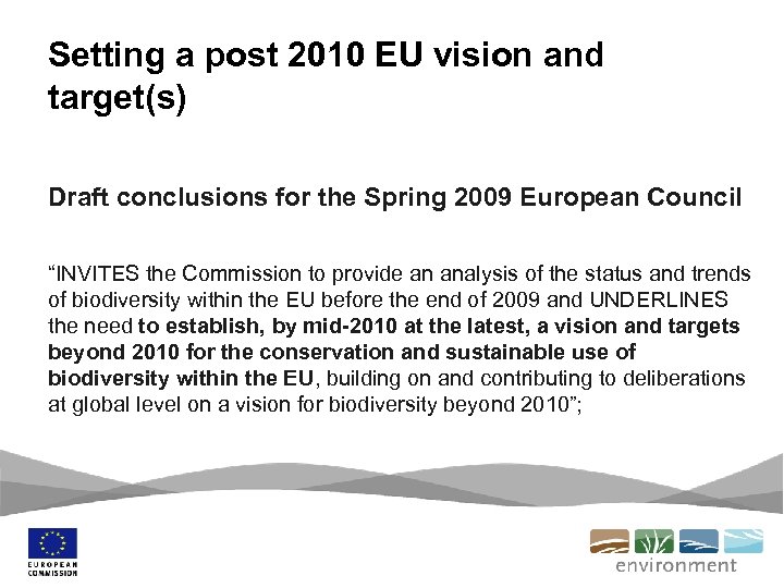 Setting a post 2010 EU vision and target(s) Draft conclusions for the Spring 2009