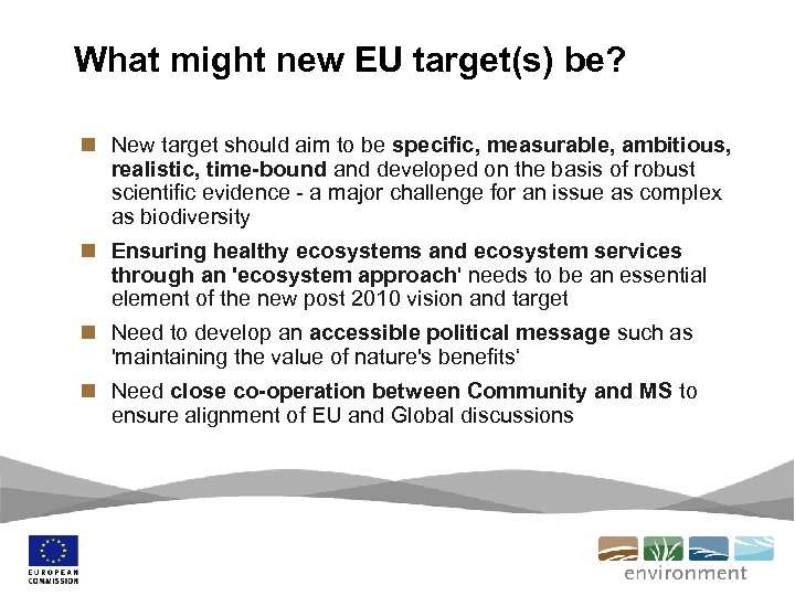 What might new EU target(s) be? n New target should aim to be specific,