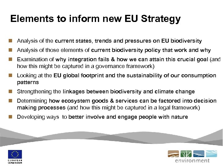 Elements to inform new EU Strategy n Analysis of the current states, trends and